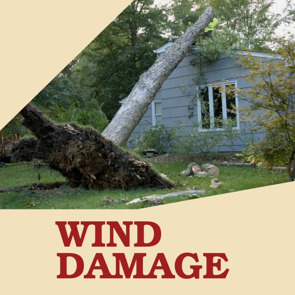 windstorm damage claim