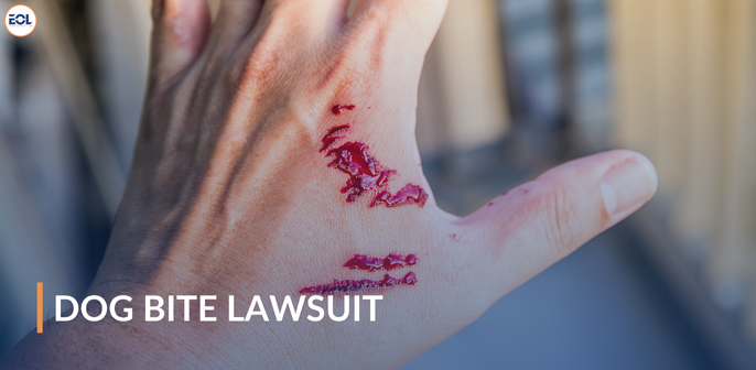 Dog Bite Lawsuit