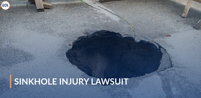 陥没孔/Sinkhole LEA 81v7aCfPBeL._UF350,350_QL50_.jpg